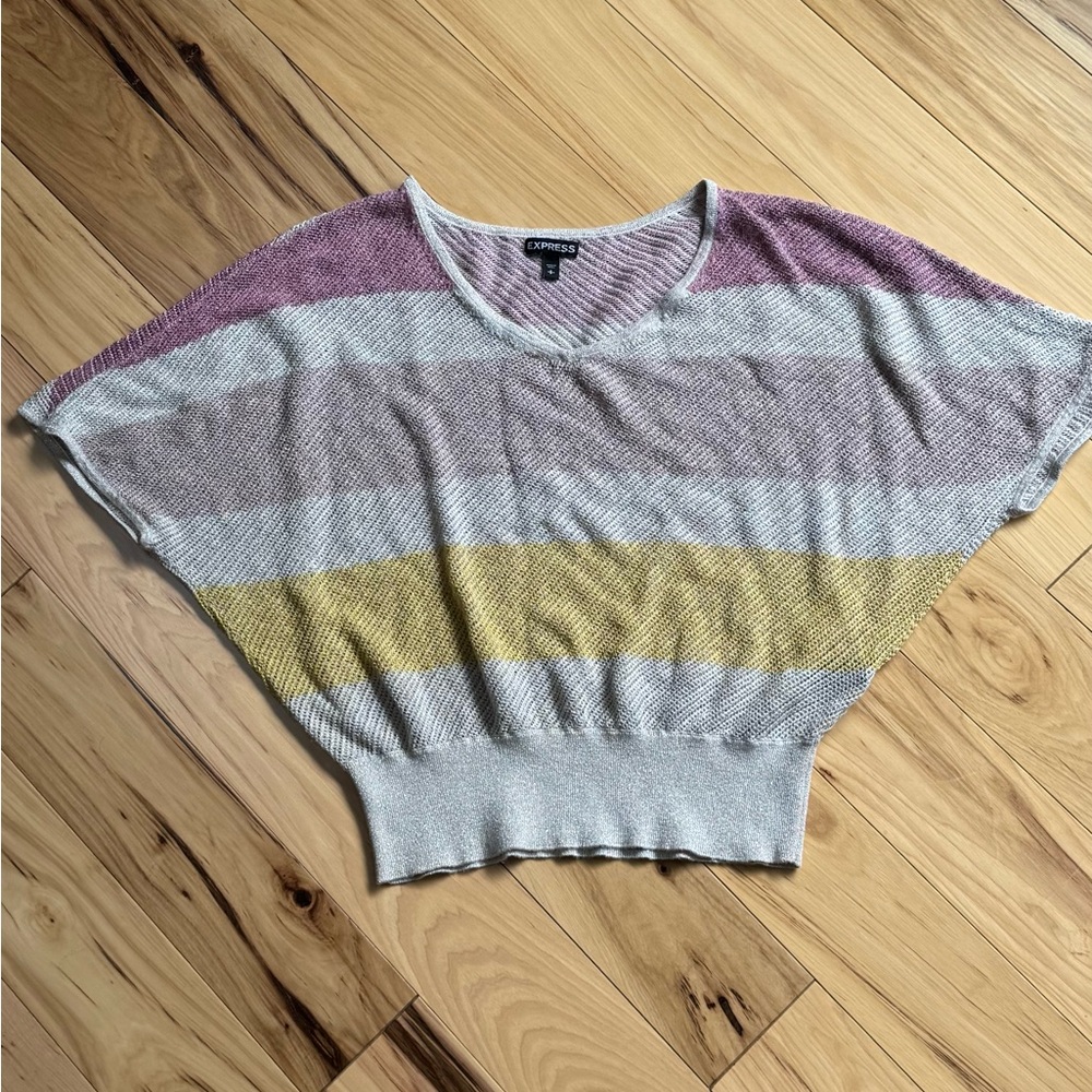 Express Multicolor Striped V-Neck Blouse